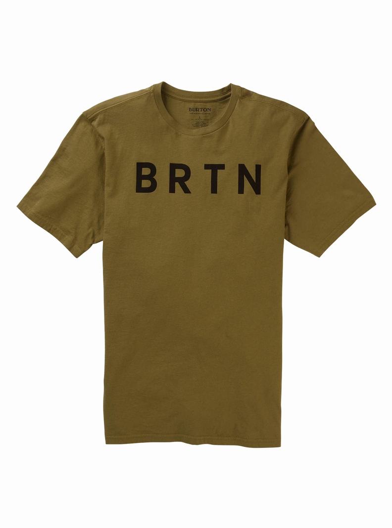 T-shirts Burton BRTN Corta Sleeve  Vert Olive Femme | EQL-4182714