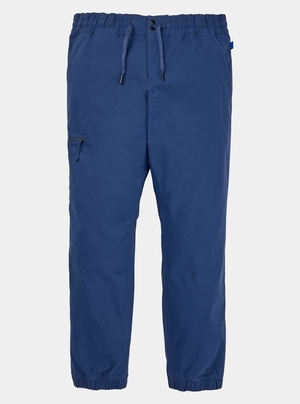 Pantalon Burton Ridge Jogger  Bleu Homme | DQF-9707620