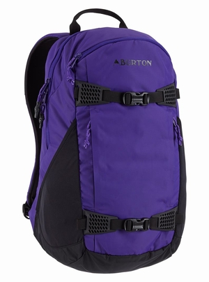 Sac à Dos Burton Day Hiker 25L  Violette Unisex | EOC-6229761