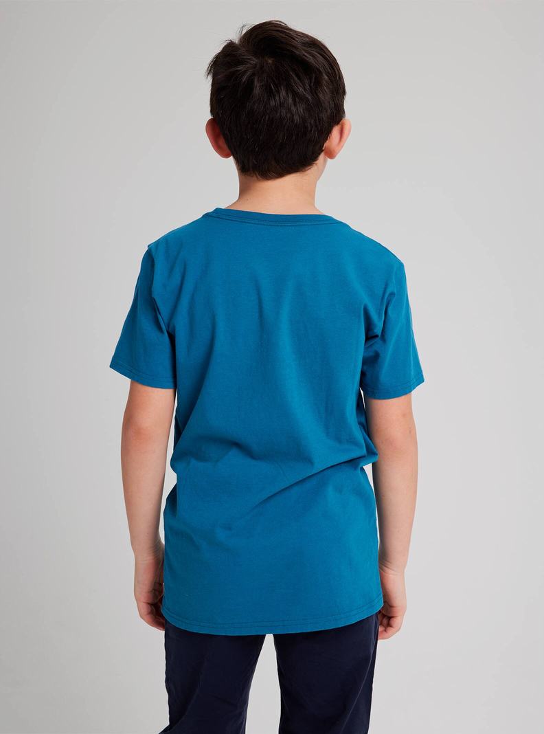 T-shirts Burton Pinecrest Corta Sleeve  Bleu Enfant | VLX-8040678