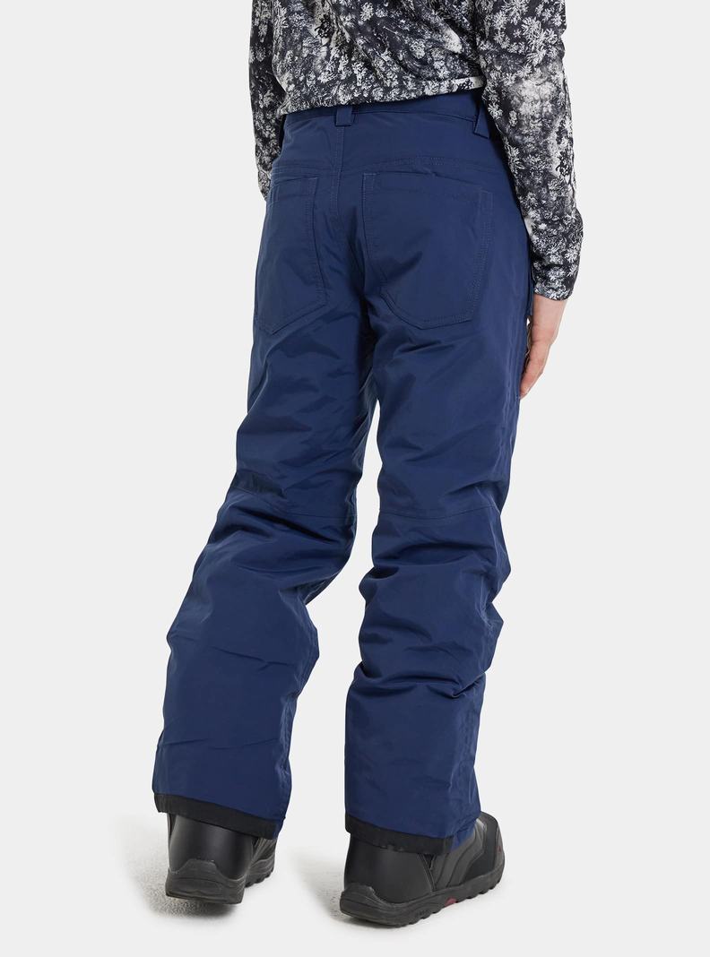 Pantalon Snowboard Burton Barnstorm 2L  Bleu Enfant | TJE-0828089